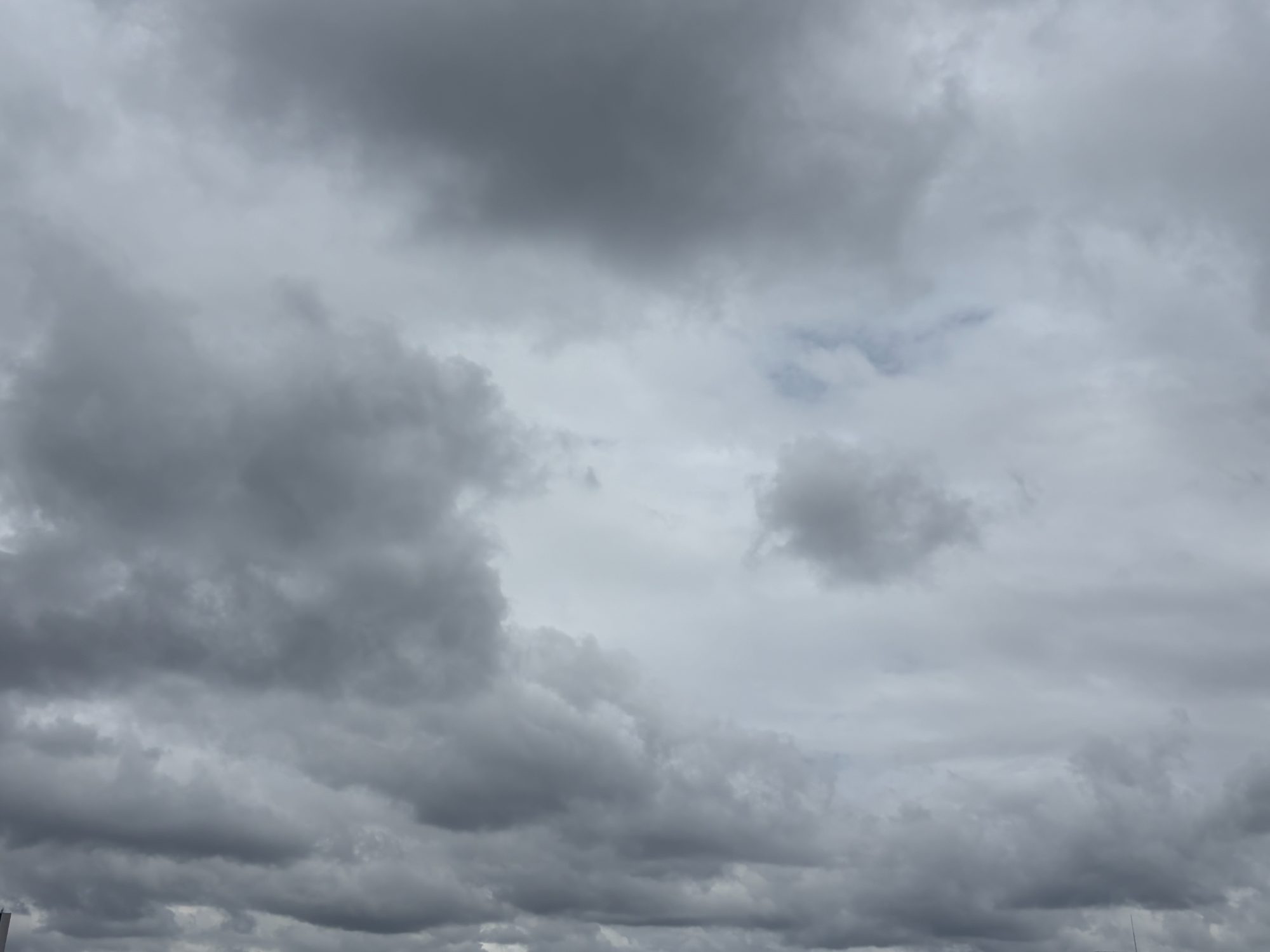 photo 2026.6.15 #2
